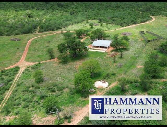 FARM FOR SALE IN MUSINA